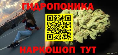 шишки Рязань